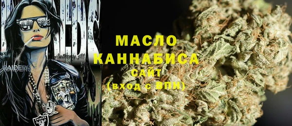 твердый Мегион