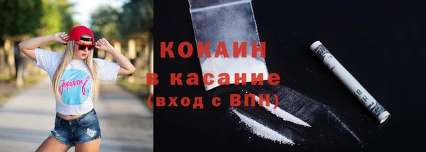 твердый Мегион