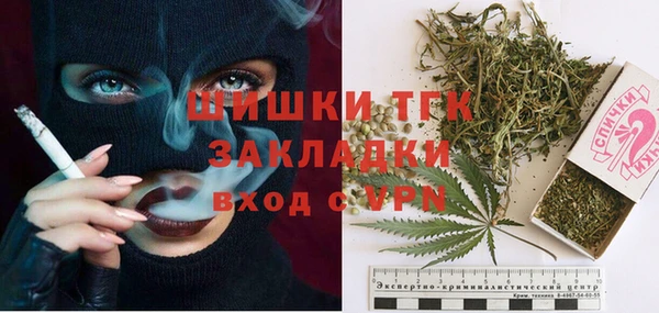 spice Медногорск