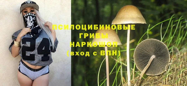 ALPHA-PVP Медвежьегорск