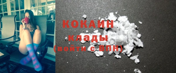 твердый Мегион